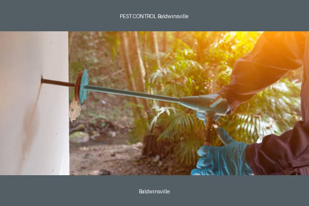 PEST CONTROL Baldwinsville